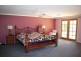 Eumundi QLD 4562