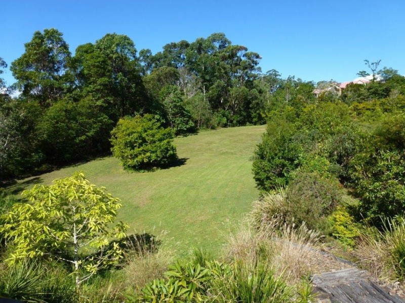 31 Foxtail Rise, Doonan QLD 4562