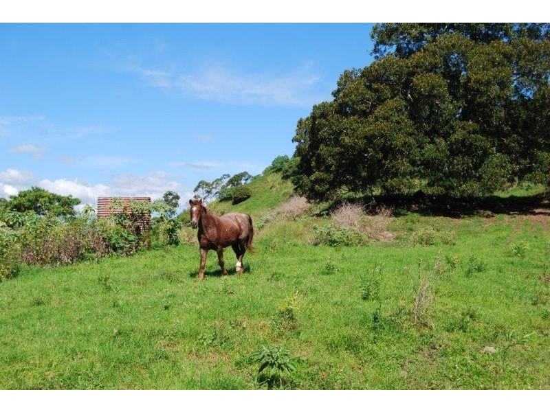 540 Eastern Branch Road, Cootharaba QLD 4565