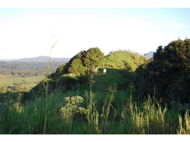 540 Eastern Branch Road, Cootharaba QLD 4565