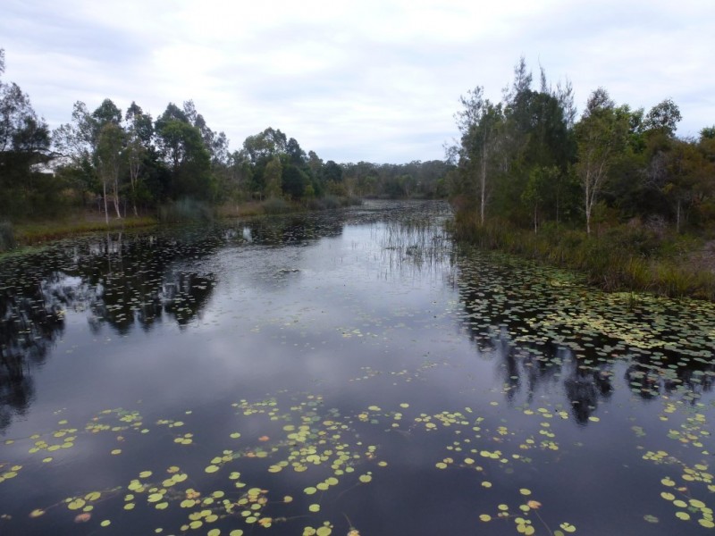 13 Aspera Place, Noosaville QLD 4566