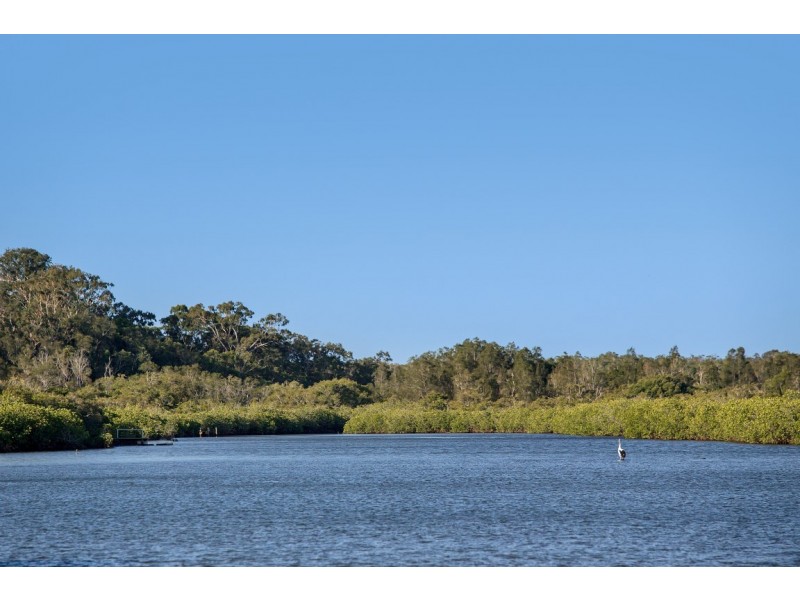 21 Ward Street, Tewantin QLD 4565