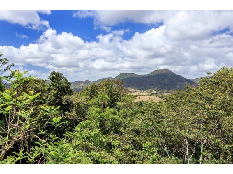 6 Hoop Pine Road, Cooroy QLD 4563