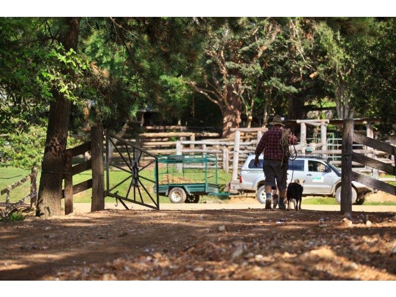 55 Happy Jack Creek Rd, Ridgewood QLD 4563