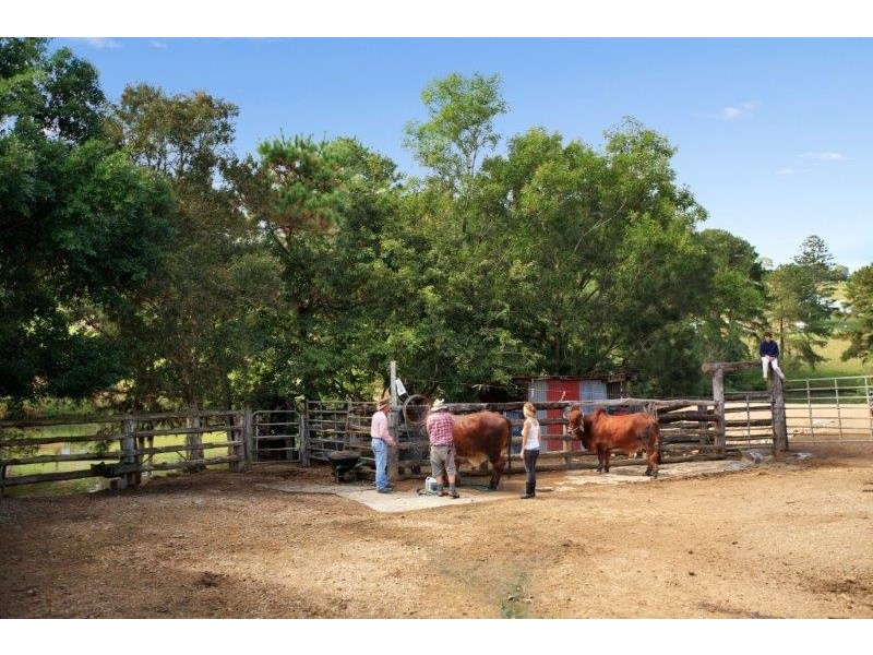 55 Happy Jack Creek Rd, Ridgewood QLD 4563