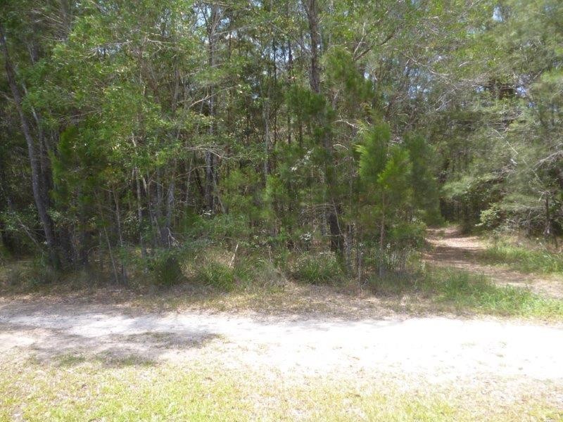 14 Feathertail Court, Tewantin QLD 4565