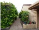 17/139 Moorindil Street, Tewantin QLD 4565