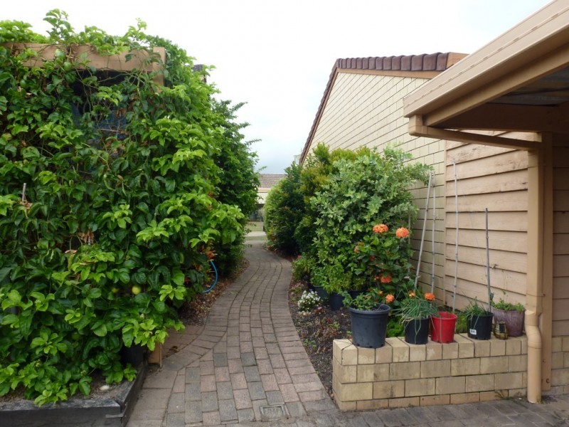 17/139 Moorindil Street, Tewantin QLD 4565