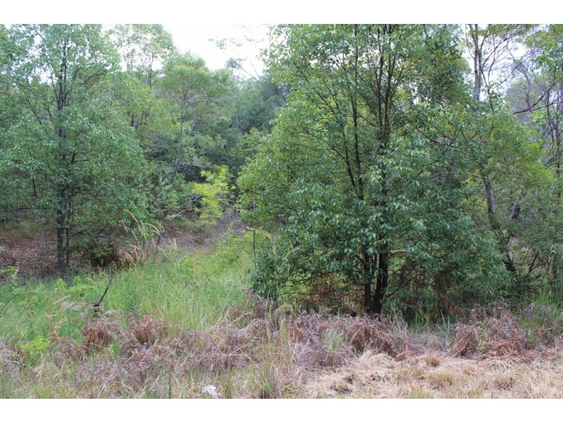 87-95 Eumundi Range Road, Eumundi QLD 4562