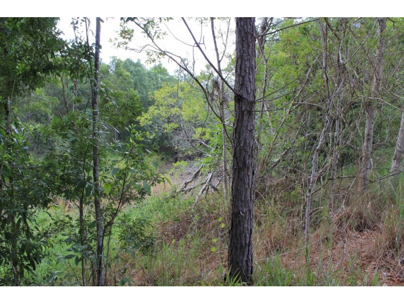 87-95 Eumundi Range Road, Eumundi QLD 4562