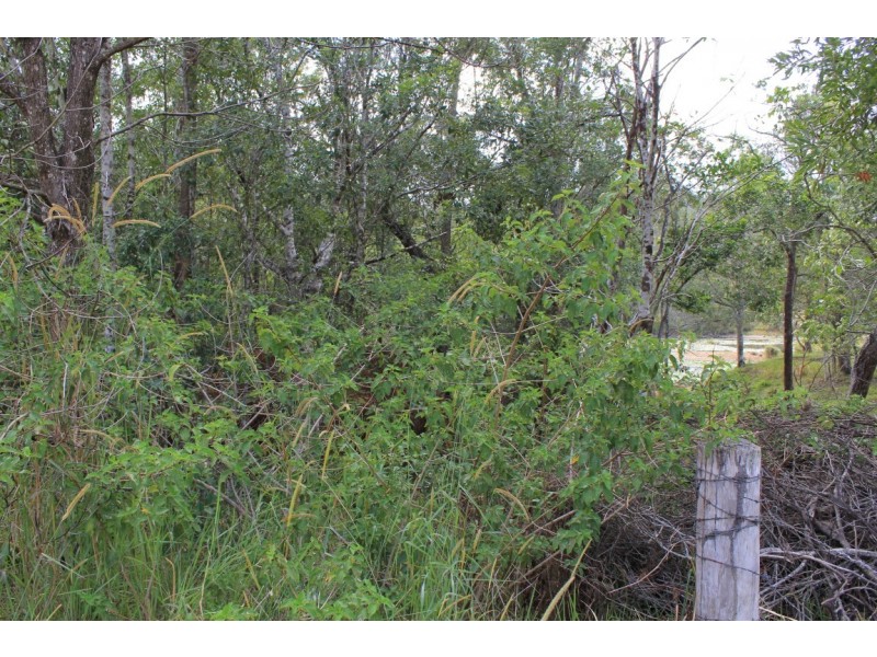 87-95 Eumundi Range Road, Eumundi QLD 4562