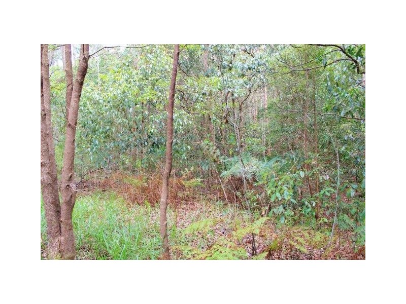 97-109 Eumundi Range Road, Eumundi QLD 4562