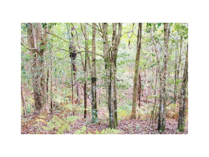 97-109 Eumundi Range Road, Eumundi QLD 4562