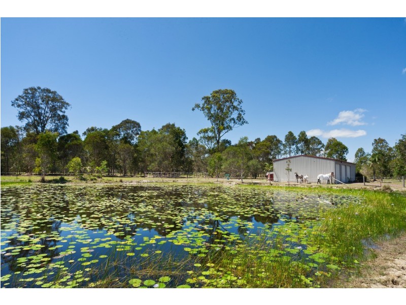 Cootharaba QLD 4565