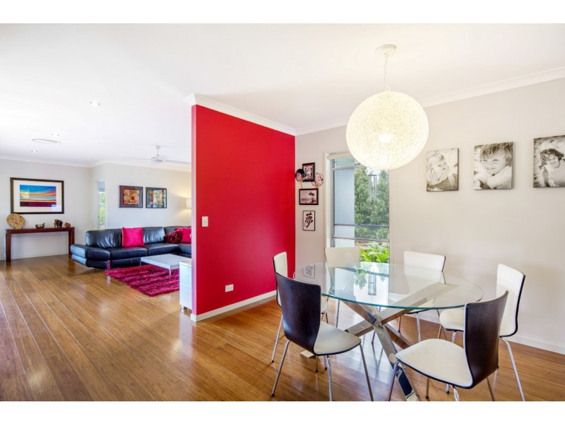 16 Attenuatta Place, Noosaville QLD 4566