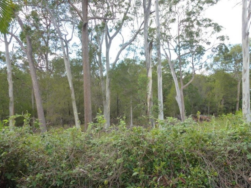 36 Tedford Drive, Tewantin QLD 4565