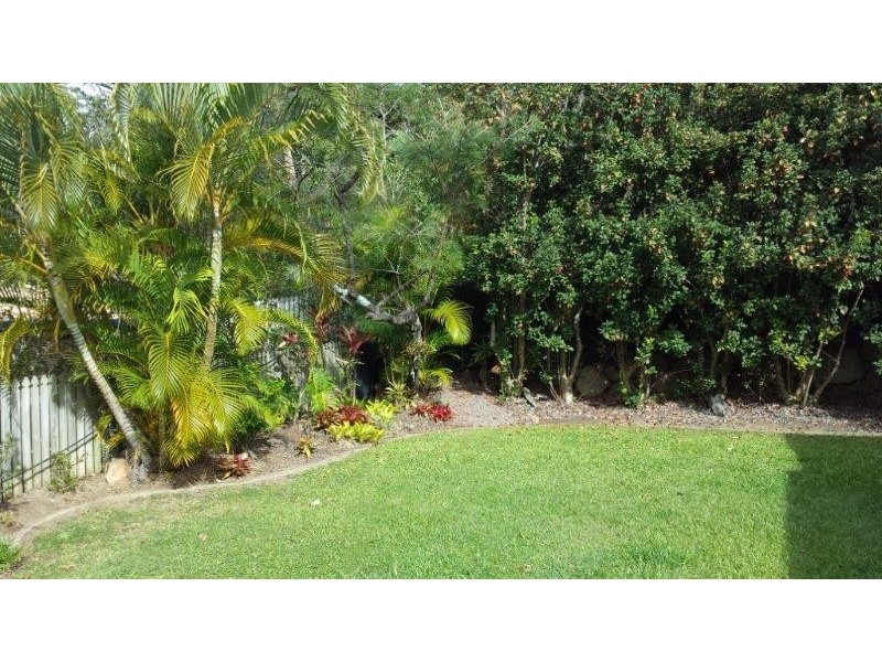 8 Tulipwood Street, Noosaville QLD 4566