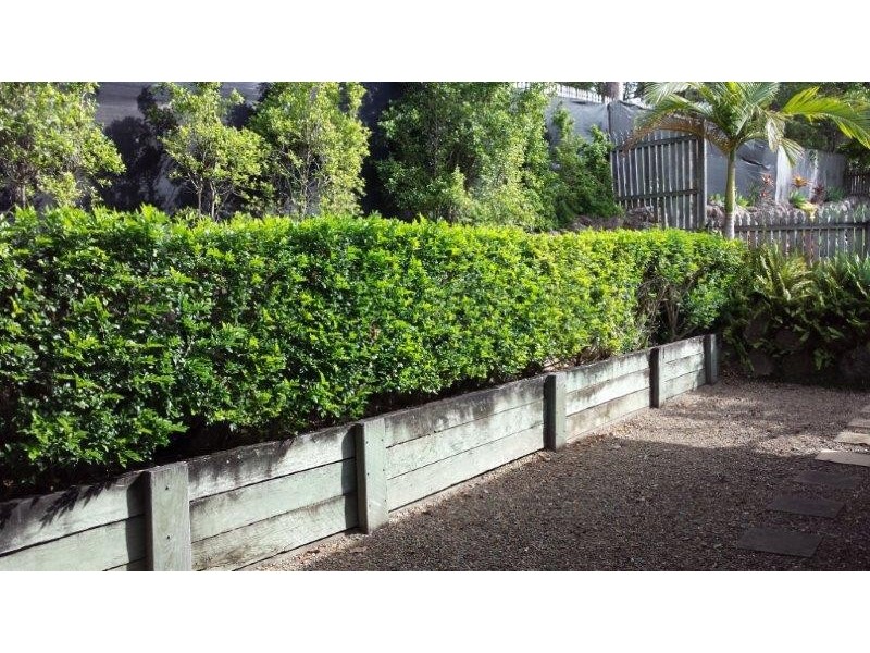 8 Tulipwood Street, Noosaville QLD 4566