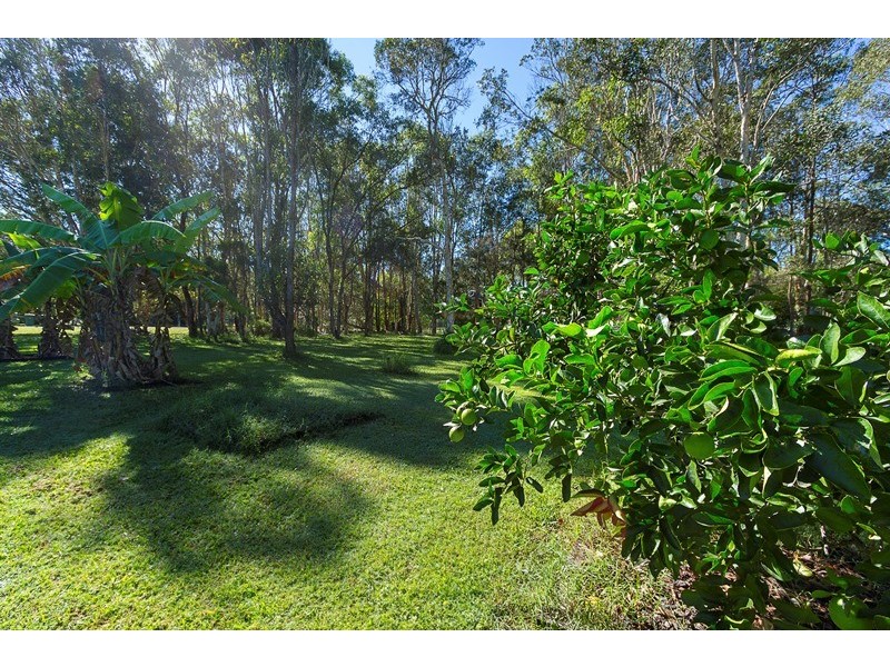 3 Whipbird Place, Doonan QLD 4562