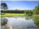 56 Eucalypt Way, Cootharaba QLD 4565