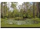 Cooroibah QLD 4565