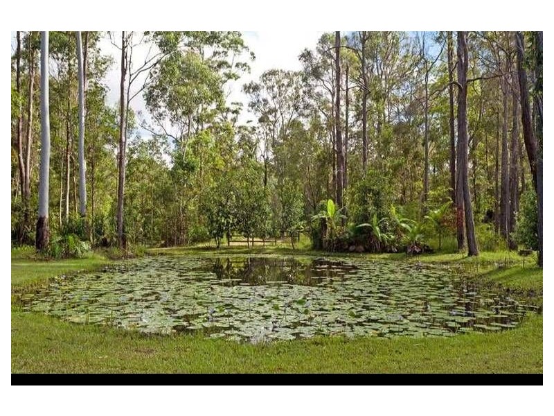 Cooroibah QLD 4565