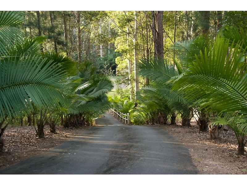 21 Greentree Place, Doonan QLD 4562