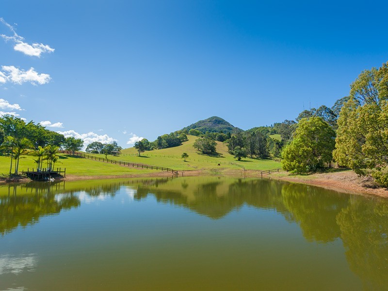 116 Lone Hand Rd, Eumundi QLD 4562