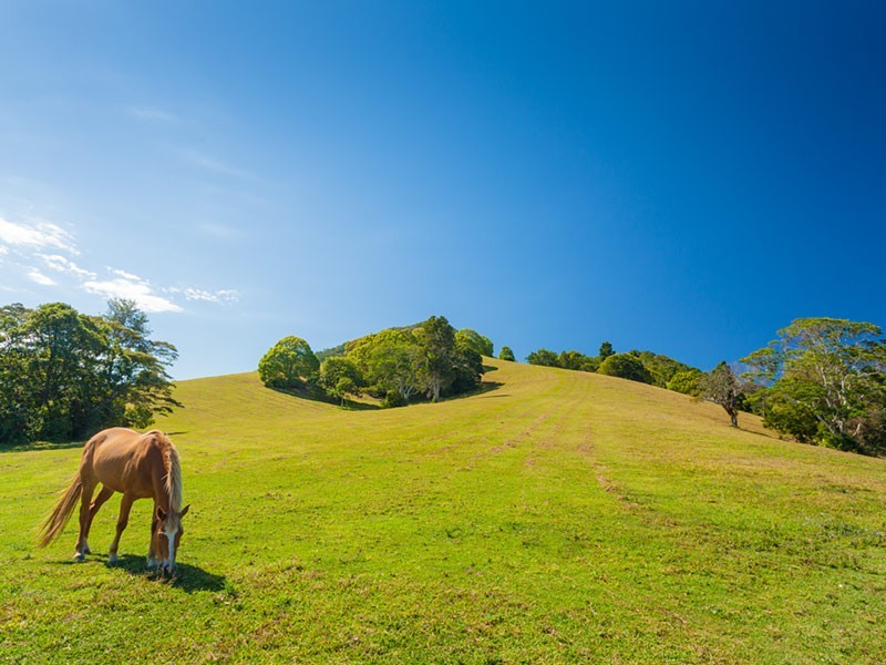116 Lone Hand Rd, Eumundi QLD 4562