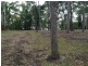 29 Morning Glory Drive, Cooroibah QLD 4565