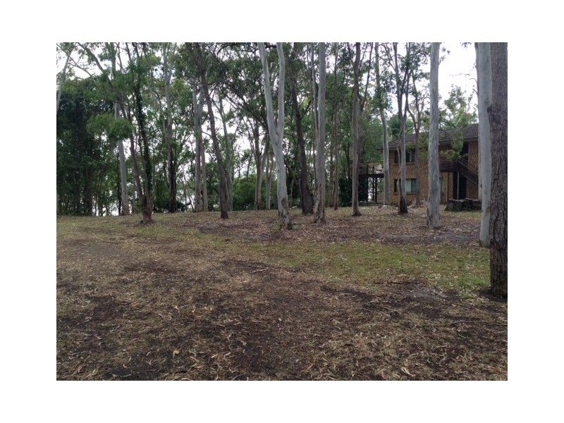 29 Morning Glory Drive, Cooroibah QLD 4565