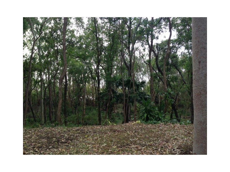 29 Morning Glory Drive, Cooroibah QLD 4565