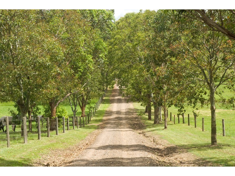 6 Fleetwood Road, Eumundi QLD 4562