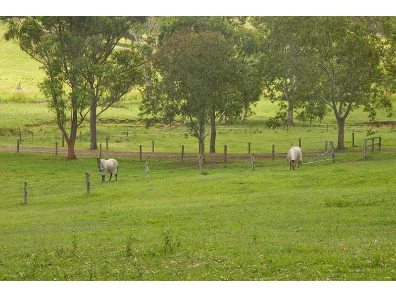 6 Fleetwood Road, Eumundi QLD 4562