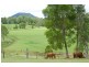 6 Fleetwood Road, Eumundi QLD 4562