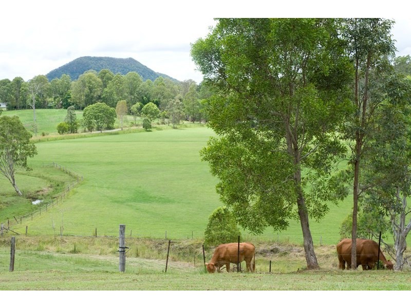 6 Fleetwood Road, Eumundi QLD 4562