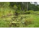 6 Fleetwood Road, Eumundi QLD 4562
