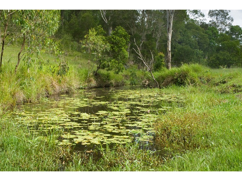 6 Fleetwood Road, Eumundi QLD 4562