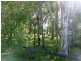 Noosaville QLD 4566