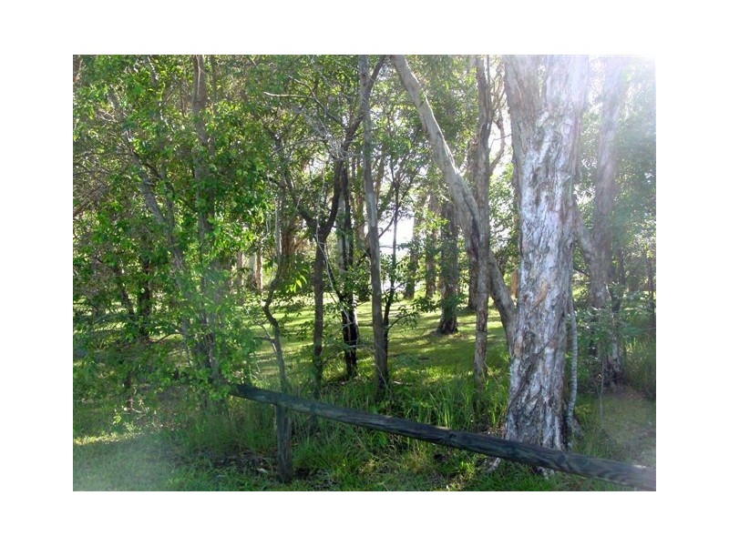 Noosaville QLD 4566