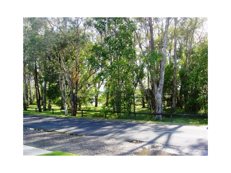 Noosaville QLD 4566