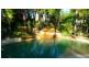 7 Lowe Court, Tewantin QLD 4565
