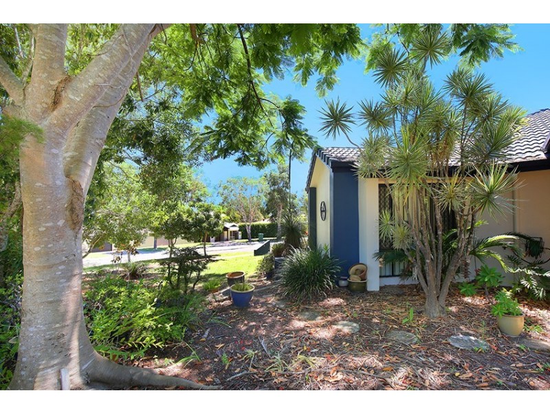 7 Longwood Dve, Peregian Springs QLD 4573