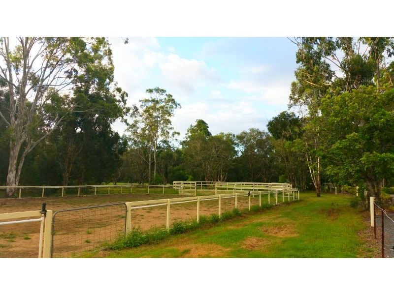 Tewantin QLD 4565