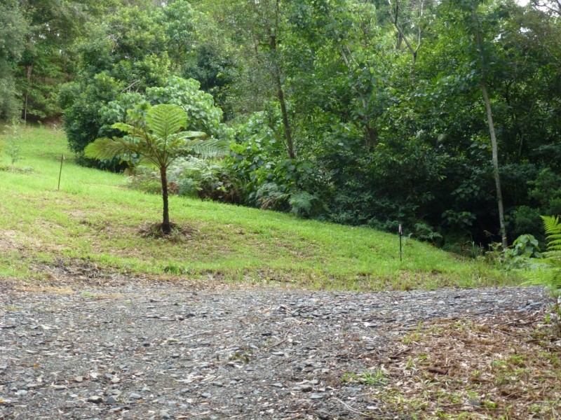 40 Stewart Court, Doonan QLD 4562