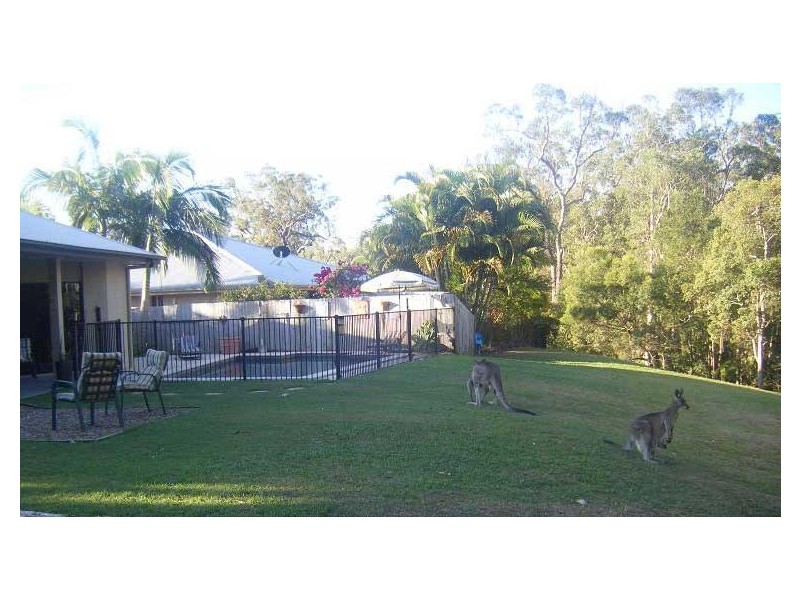 8 Finney Court, Tewantin QLD 4565