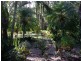 Cootharaba QLD 4565