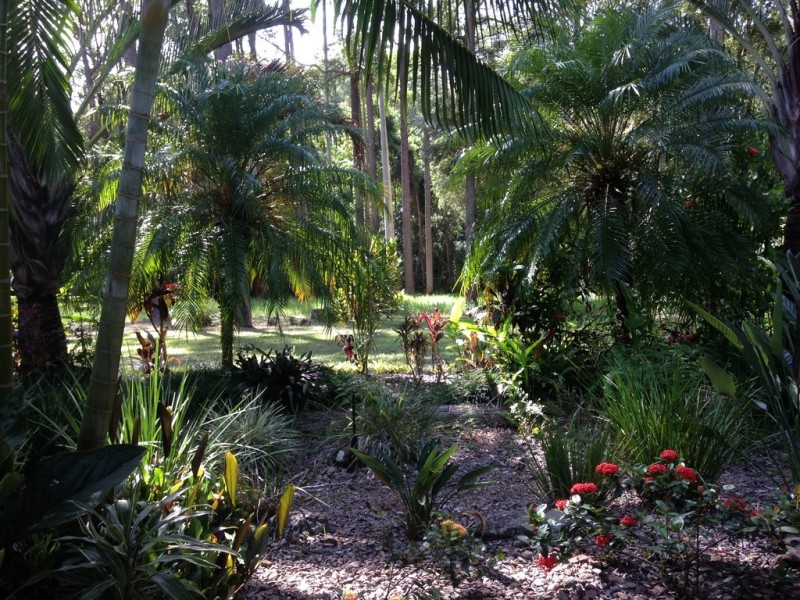 Cootharaba QLD 4565