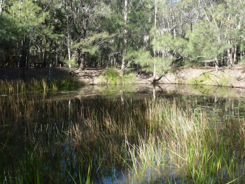 11 Tamarine Court, Cooroibah QLD 4565