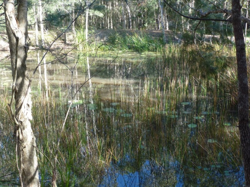 11 Tamarine Court, Cooroibah QLD 4565